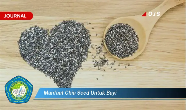 manfaat chia seed untuk bayi