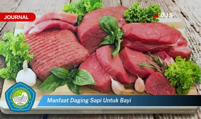 manfaat daging sapi untuk bayi