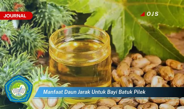 manfaat daun jarak untuk bayi batuk pilek manfaat daun jarak untuk bayi batuk pilek