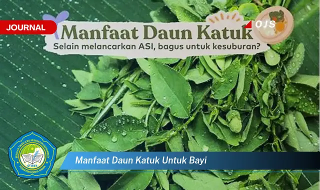 manfaat daun katuk untuk bayi manfaat daun katuk untuk bayi