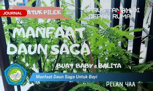 manfaat daun saga untuk bayi