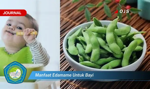 manfaat edamame untuk bayi