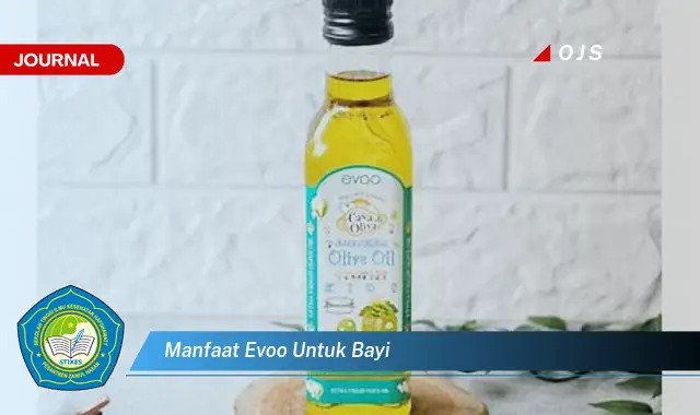 manfaat evoo untuk bayi manfaat evoo untuk bayi