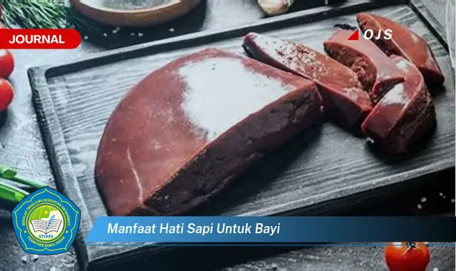 manfaat hati sapi untuk bayi