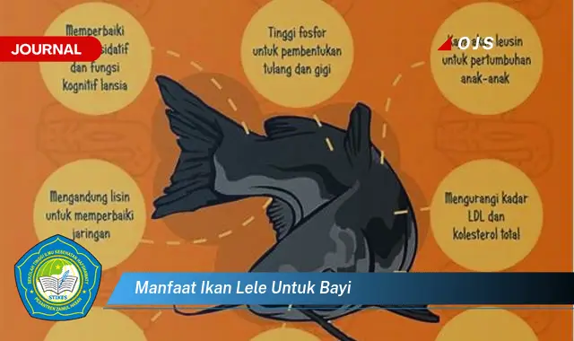 manfaat ikan lele untuk bayi manfaat ikan lele untuk bayi