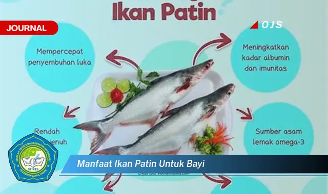 manfaat ikan patin untuk bayi manfaat ikan patin untuk bayi