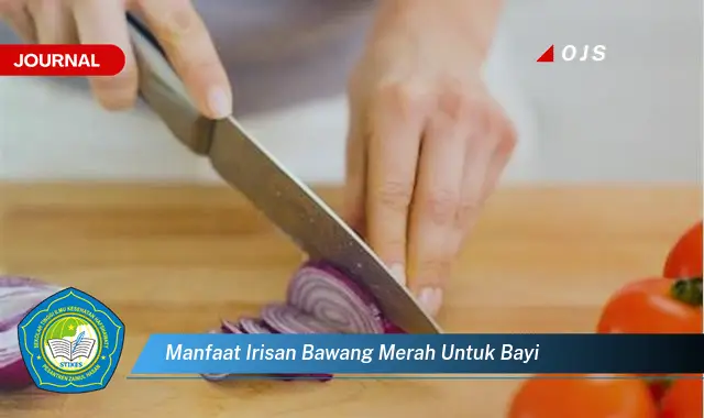 manfaat irisan bawang merah untuk bayi