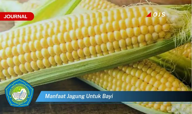 manfaat jagung untuk bayi