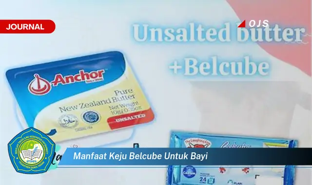 manfaat keju belcube untuk bayi manfaat keju belcube untuk bayi