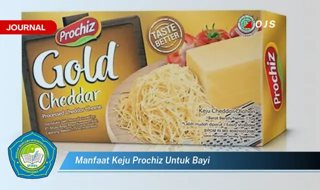 manfaat keju prochiz untuk bayi