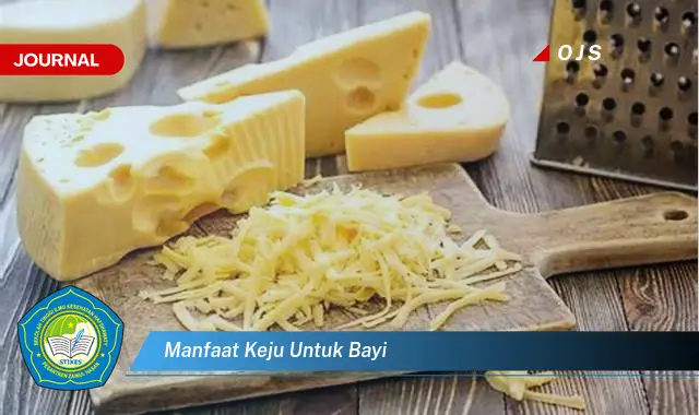 manfaat keju untuk bayi