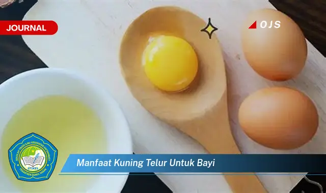 manfaat kuning telur untuk bayi