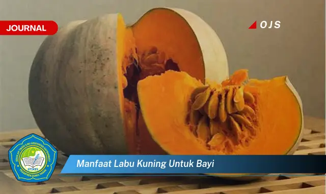 Ketahui 6 Manfaat Labu Kuning untuk Bayi yang Jarang Diketahui - E-Journal