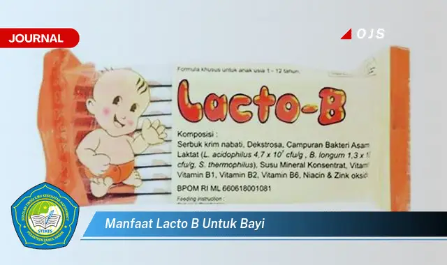 manfaat lacto b untuk bayi
