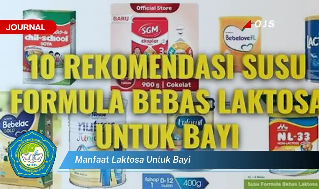 manfaat laktosa untuk bayi