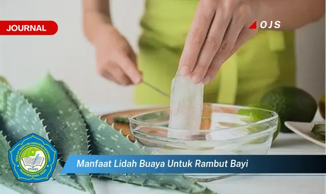 manfaat lidah buaya untuk rambut bayi