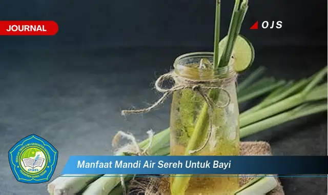 Temukan 6 Manfaat Mandi Air Sereh untuk Bayi yang Wajib Kamu Intip - E-Journal