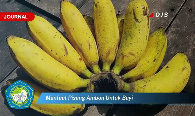 manfaat pisang ambon untuk bayi