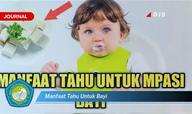 Temukan 6 Manfaat Mengejutkan Tahu untuk Bayi yang Bikin Kamu Penasaran - E-Journal