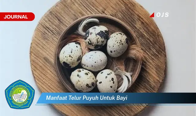 manfaat telur puyuh untuk bayi manfaat telur puyuh untuk bayi