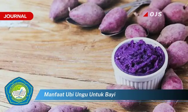 manfaat ubi ungu untuk bayi