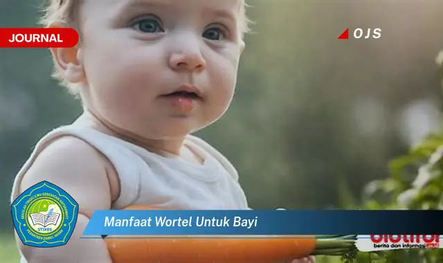 manfaat wortel untuk bayi manfaat wortel untuk bayi