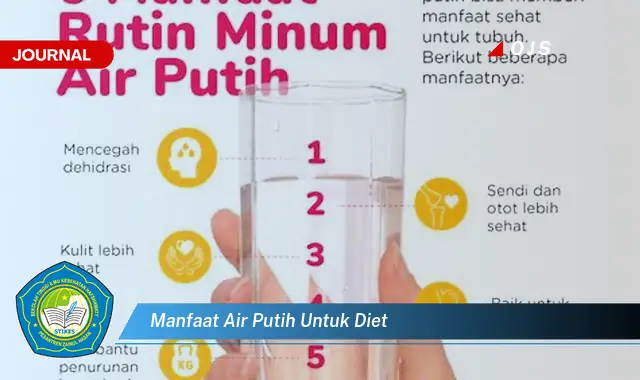 manfaat air putih untuk diet manfaat air putih untuk diet