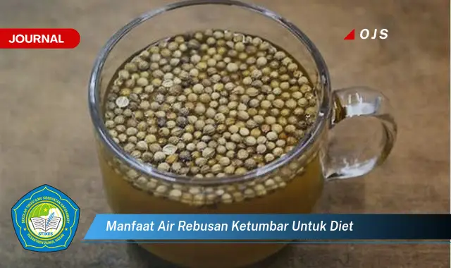 manfaat air rebusan ketumbar untuk diet manfaat air rebusan ketumbar untuk diet
