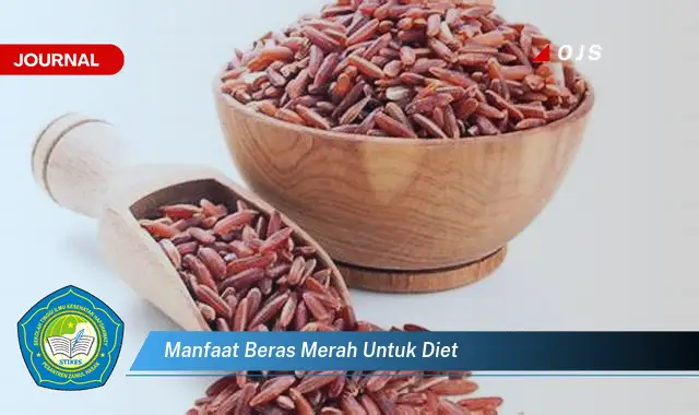 manfaat beras merah untuk diet