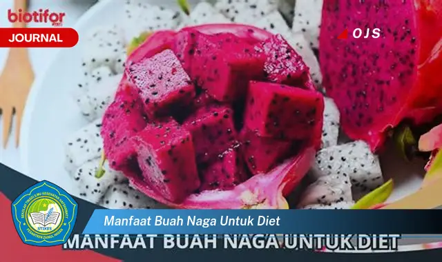 manfaat buah naga untuk diet