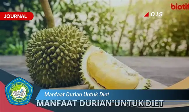 manfaat durian untuk diet