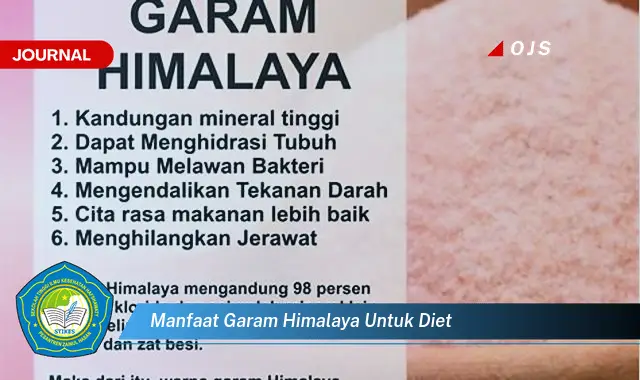 manfaat garam himalaya untuk diet