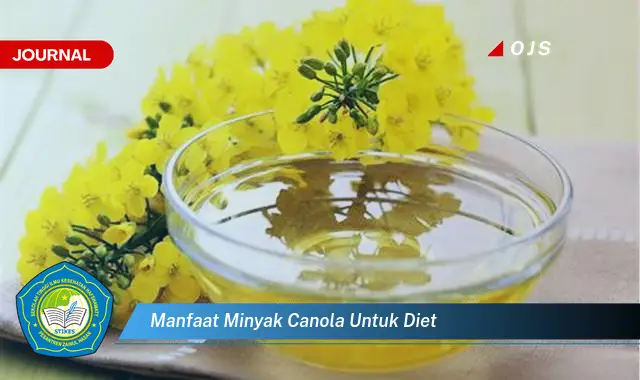 manfaat minyak canola untuk diet