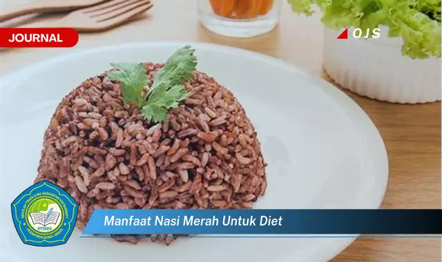 manfaat nasi merah untuk diet