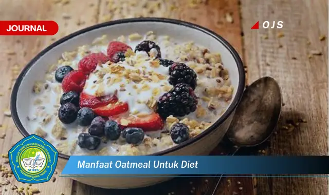 manfaat oatmeal untuk diet manfaat oatmeal untuk diet