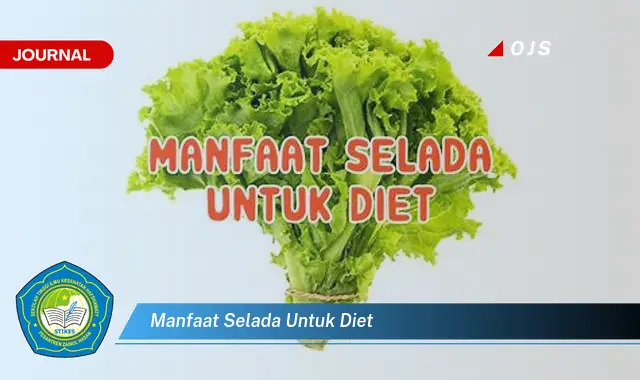 manfaat selada untuk diet manfaat selada untuk diet