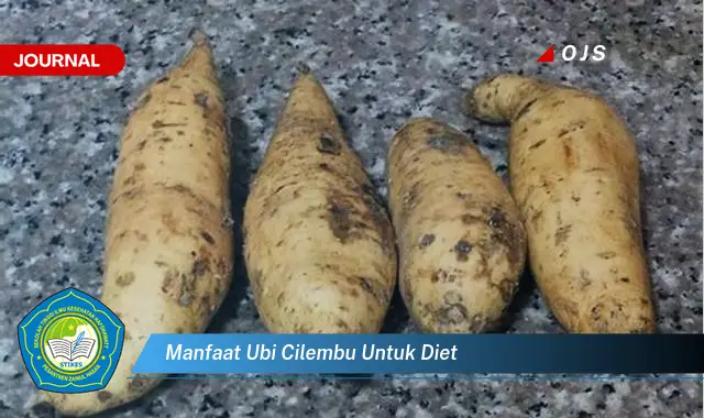 manfaat ubi cilembu untuk diet