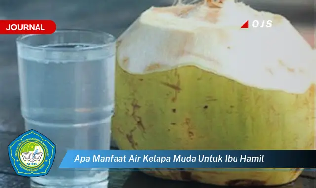 apa manfaat air kelapa muda untuk ibu hamil