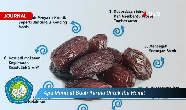 apa manfaat buah kurma untuk ibu hamil apa manfaat buah kurma untuk ibu hamil
