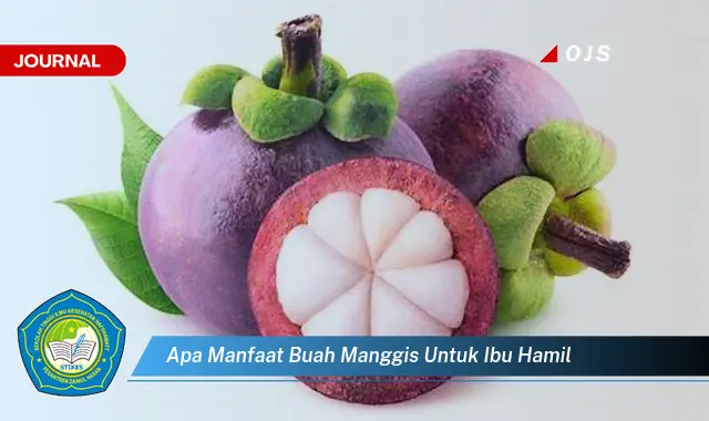 apa manfaat buah manggis untuk ibu hamil