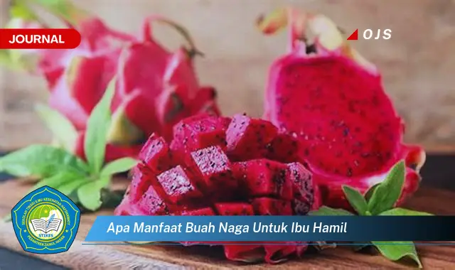 apa manfaat buah naga untuk ibu hamil