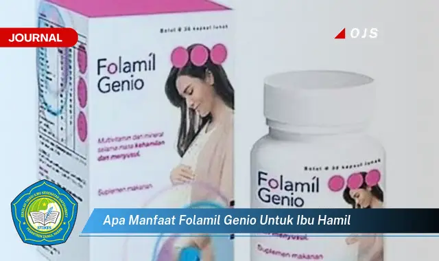 Ketahui 6 Manfaat Folamil Genio untuk Ibu Hamil yang Bikin Kamu Penasaran - E-Journal