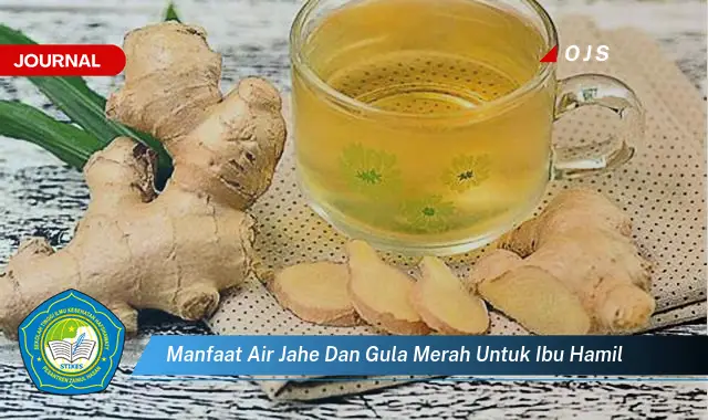 Temukan 6 Manfaat Air Jahe dan Gula Merah untuk Ibu Hamil yang Bikin Kamu Penasaran - E-Journal