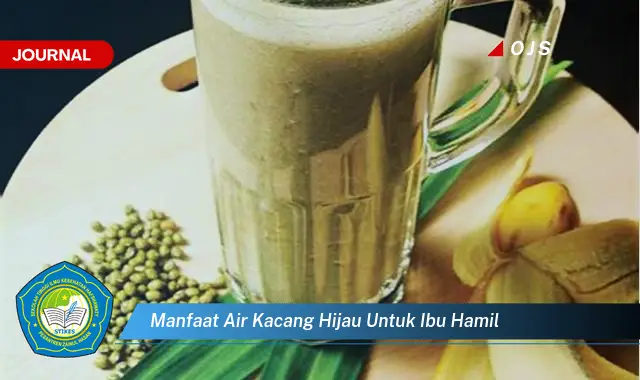 manfaat air kacang hijau untuk ibu hamil