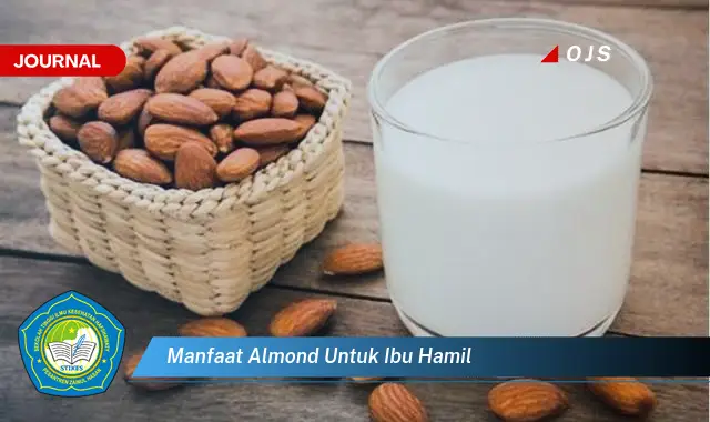 manfaat almond untuk ibu hamil