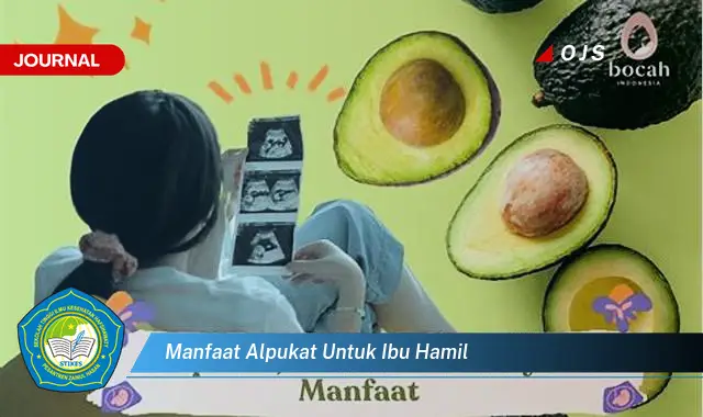 manfaat alpukat untuk ibu hamil