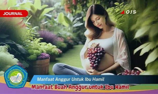 manfaat anggur untuk ibu hamil manfaat anggur untuk ibu hamil