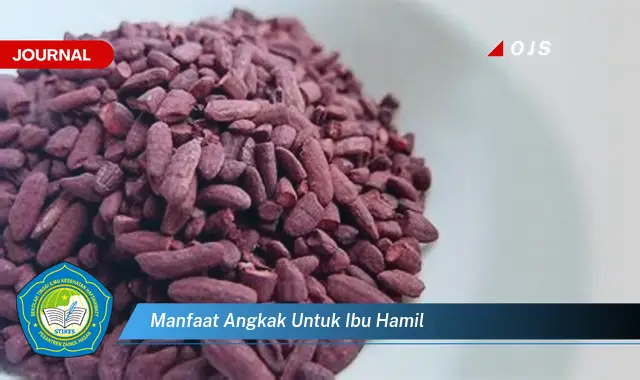 manfaat angkak untuk ibu hamil