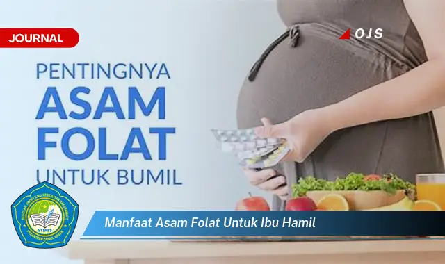 manfaat asam folat untuk ibu hamil