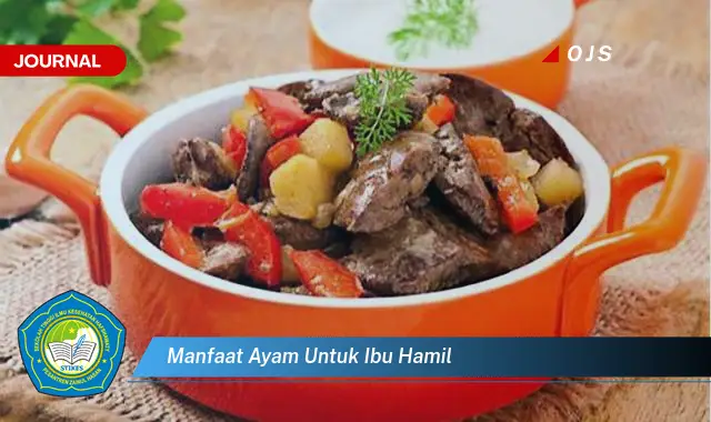 manfaat ayam untuk ibu hamil